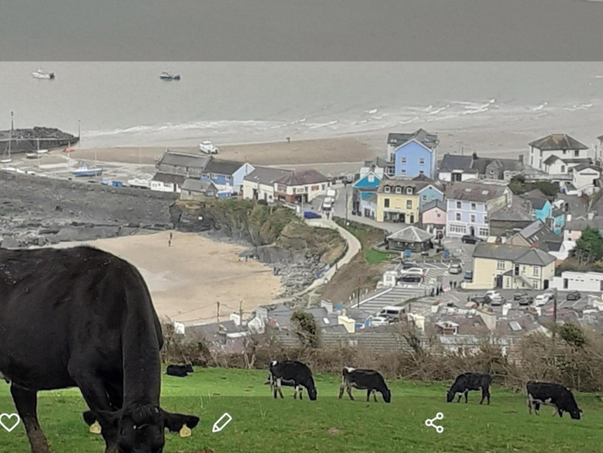 Newquay Haven Caravan 42x14 With Ocean Views New Quay (Ceredigion)